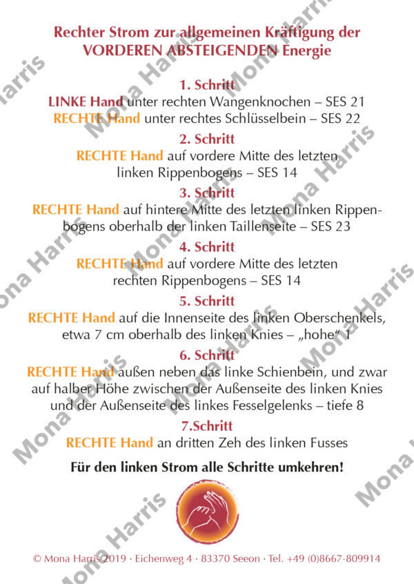 Der Magenstrom – Bild 2