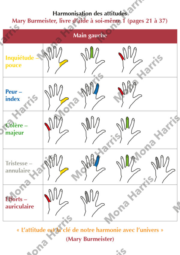 Harmonisation des attitudes