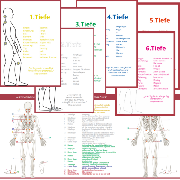6 Tiefen Set und SES