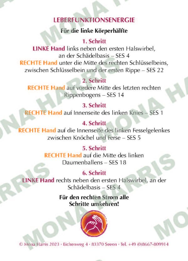 Leberstrom – Bild 2