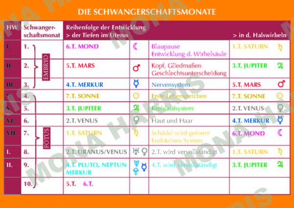 Schwangerschaft