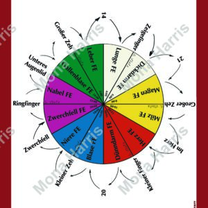 Organstrom Übergänge